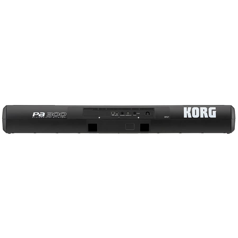 pa300-korg-teclado-mana-de-vida_01