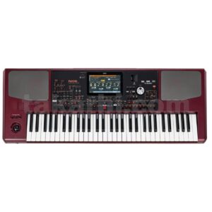 teclado-korg-pa1000-mana-de-vida_01